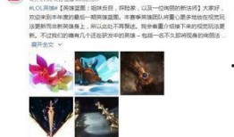 官博最新爆料,神秘事件背后真相揭晓